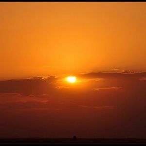 Meet your Posher, Numan